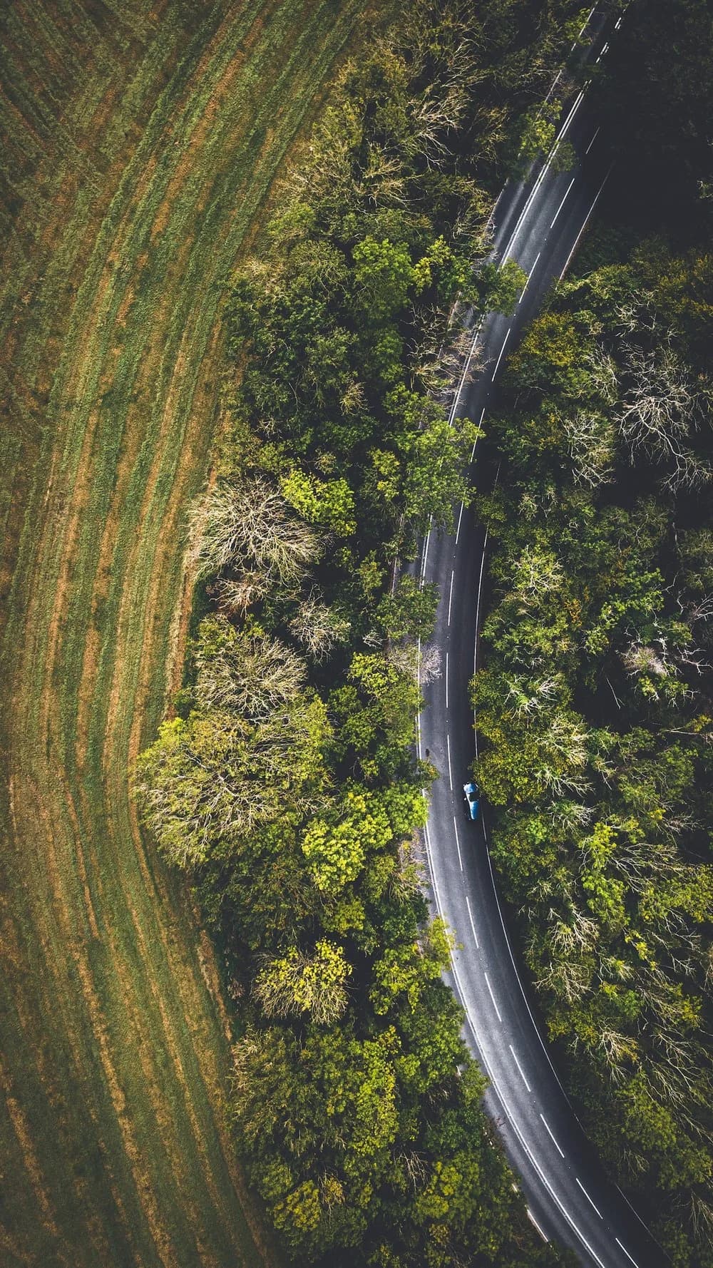 Featured image for Why agentic AI projects fail: 10 Learnings and fixes (for those already past the co-pilot phase)