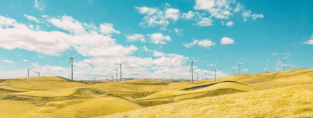 Featured image for They´re employees, not endpoints: A labor‑law playbook for managing digital colleagues